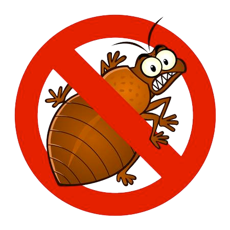 You are currently viewing Cleveland Still Has the Worst Bed Bug Infestation Problem in the Country, Terminix Finds
