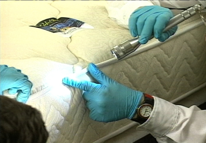 Read more about the article Bed bugs in Ohio reach ‘epidemic’ levels, exterminators say